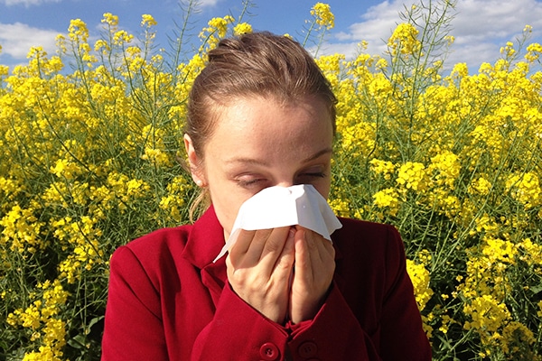Find out how to deal with allergies after moving.
